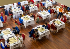 Sacensības dambretē Polijā, skats no augšas. 11.2023.