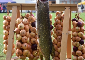 Rembatē svin “Dārzeņu festivālu”