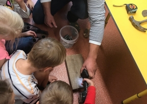 Tēvu diena PII „Dzīpariņš”