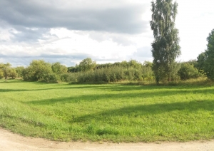 Jasmīnu iela 2, Birzgale