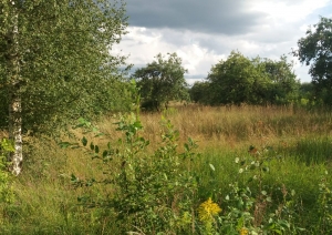 Jasmīnu iela 2, Birzgale