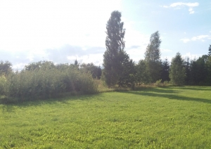 Jasmīnu iela 2, Birzgale