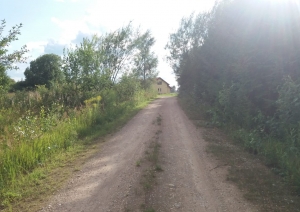 Jasmīnu iela 4, Birzgale