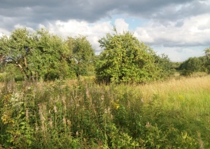 Jasmīnu iela 4, Birzgale