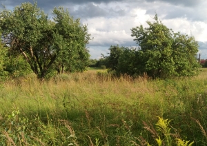 Jasmīnu iela 4, Birzgale