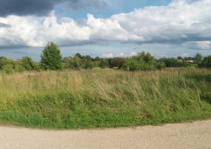 Jasmīnu iela 6, Birzgale