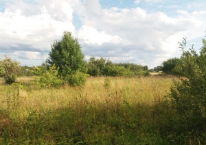 Jasmīnu iela 6, Birzgale