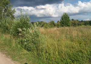 Jasmīnu iela 6, Birzgale