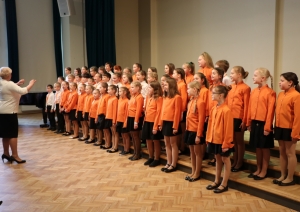 Koru skate  20