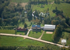 krape-2