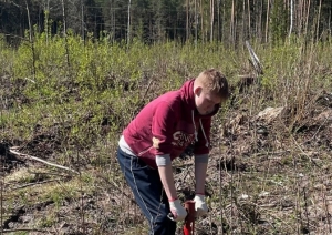 Ogresgala pamatskolas skolēni atjauno mežu Rembatē 22.04.2023.
