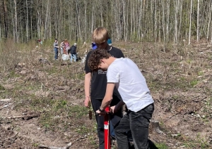 Ogresgala pamatskolas skolēni atjauno mežu Rembatē 22.04.2023.