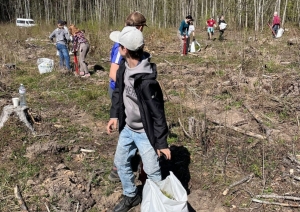 Ogresgala pamatskolas skolēni atjauno mežu Rembatē 22.04.2023.