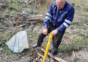 Iedzīvotāji atjauno mežu Rembatē 29.04.2023.