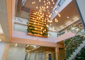 Bibliotēka 3
