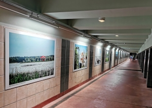 Ogres gājēju tunelī izveidota jauna galerija