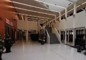 Vestibils, balta grīda Ogres Valsts ģimnāzijā