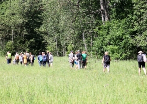 Pārgājiens Ogres upes ieleja 15.07.2023