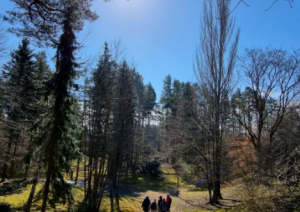 Parogres kalni