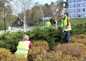 2023. gada pavasaris, apstādījumi Ogrē