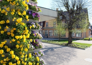2023. gada pavasaris, apstādījumi Ogrē