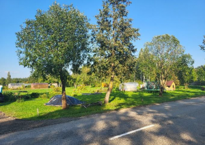 Izsole nekustamajam īpašumam Ranka 51, Ogresgals