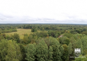 Dullā Daukas taka un skatu tornis