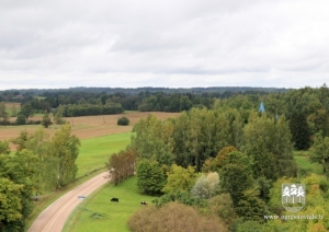 Dullā Daukas taka un skatu tornis