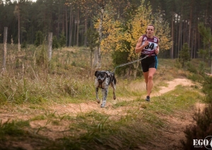 Suņu sporta sacensības