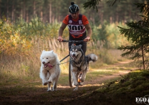 Suņu sporta sacensības