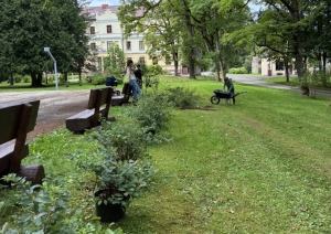 Taurupes muižas parkā tiek iestādīti 185 koki un krūmi projekta “Taurupes muižas parka labiekārtošana” ietvaros 