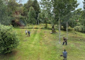 Taurupes muižas parkā tiek iestādīti 185 koki un krūmi projekta “Taurupes muižas parka labiekārtošana” ietvaros 
