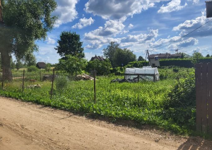 Urdziņa 118, Ciemupe - ceļš, žogs, aiz tā zāle, siltumnīca