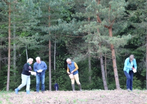 Talcinieki sēj saulespuķu sēklas