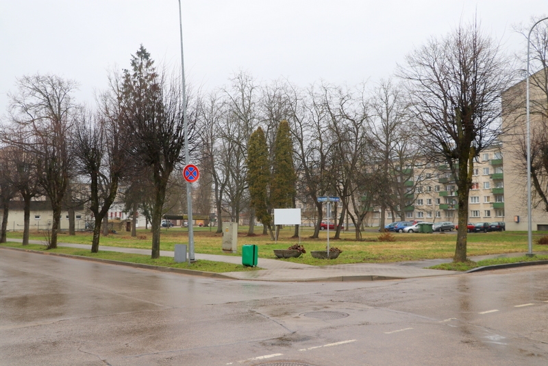 Ogrē veidos vēstures rožu dārzu
