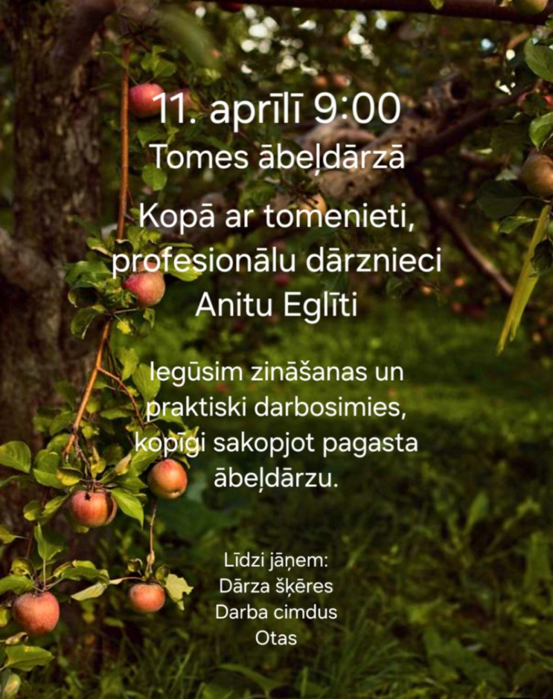11. aprīlī plkst. 9.00 Tomes ābeļdārzā norisināsies izglītojoša un praktiska meistarklase, uz kuru aicina Tomes pagasta iedzīvotāju padome sadarbībā ar profesionālu dārznieci Anitu Eglīti.