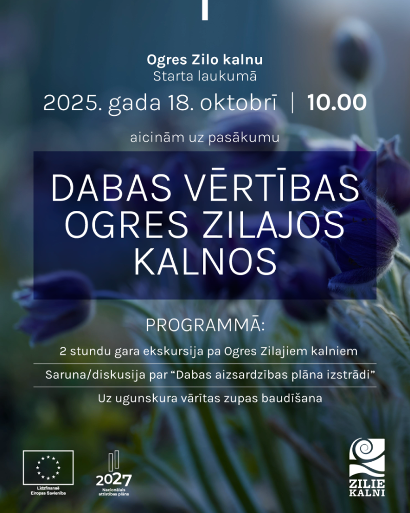 Afiša ekskursijai "Dabas vērtības Ogres Zilajos kalnos". Afišā fonā violeti ziedi