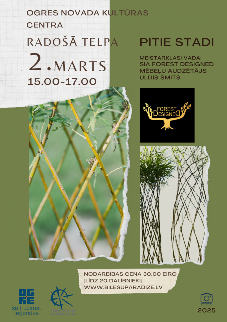 Meistarklase Pītie stādi Ogres novada Kultūras centra Radošajā telpā 2. martā no plkst. 15.00 līdz 17.00