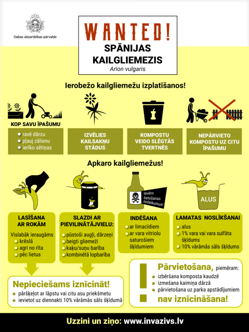 Infografika par Spānijas kailgliemeža apkarošanas metodēm