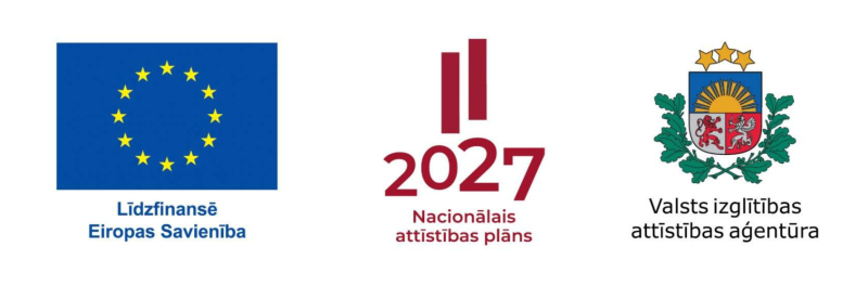 ES_NAP_VIAA logo ansamblis