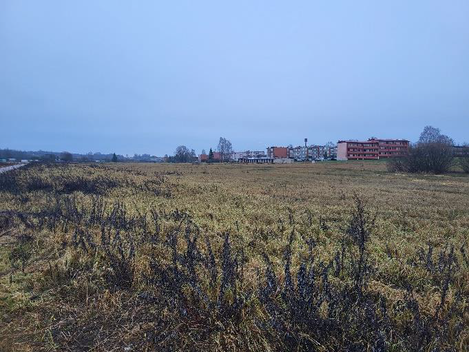 Lauksaimniecības zemes noma Madlienas pagastā aprīlis 2025