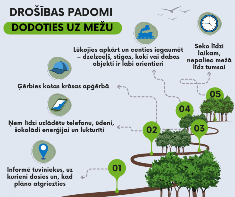 Infografija ar drošības padomiem, dodoties uz mežu