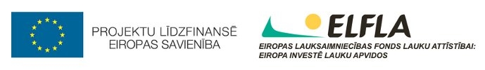 ES ELFLA logo