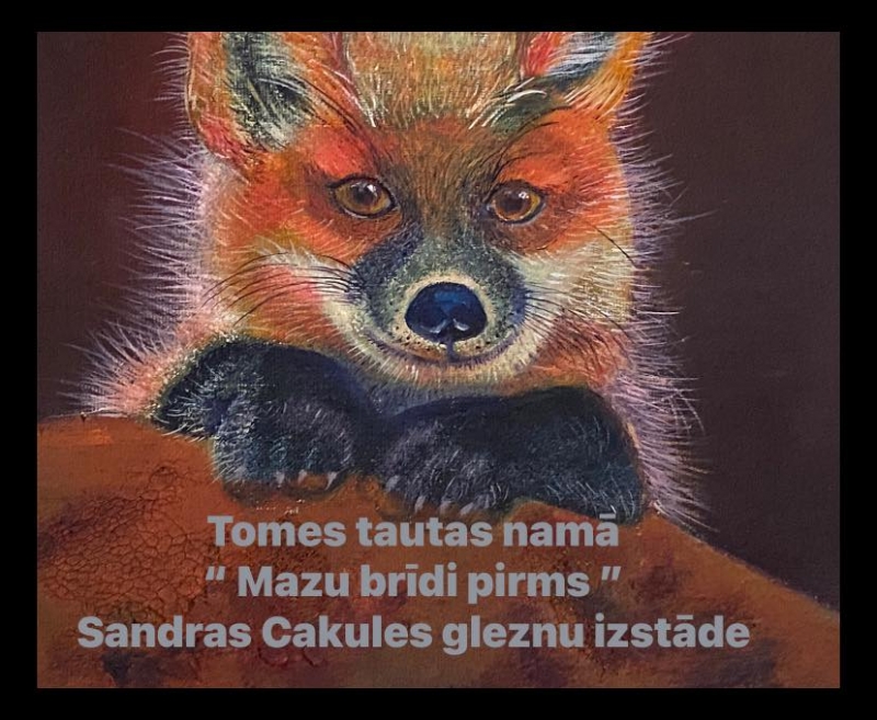 Sandras Cakules gleznu izstāde  MAZU BRĪDI PIRMS  Tomē plakāts 2023