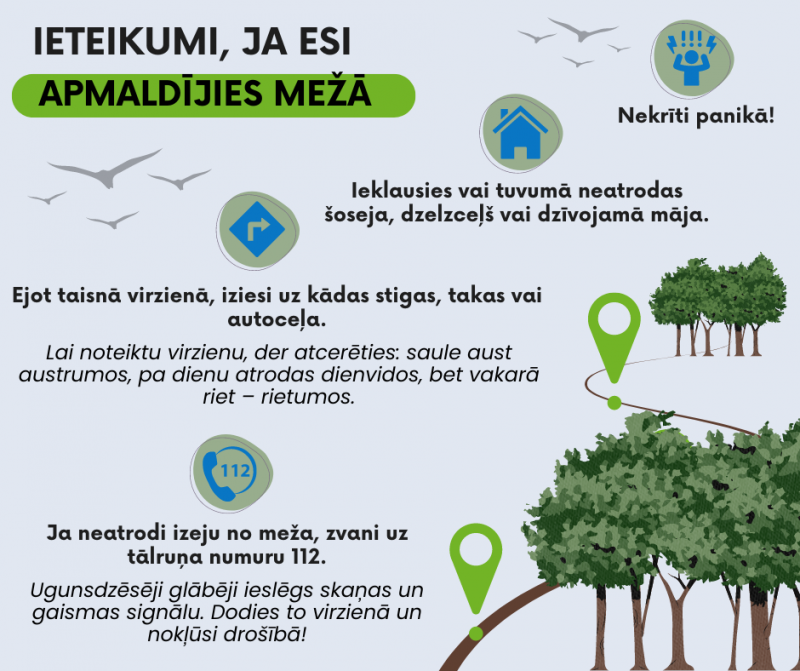 Infografika ar ieteikumiem, ja esi apmaldījies mežā