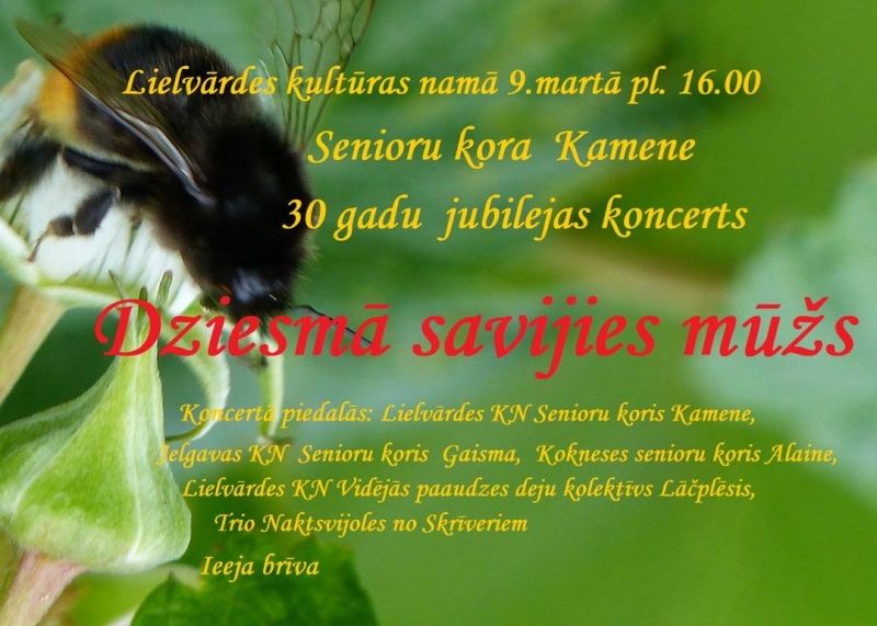 Afiša: Lielvārdes Kultūras namā 9. martā plkst. 16.00 senioru kora KAMENE 30 gadu jubilejas koncerts "Dziesmā savijies mūžs"