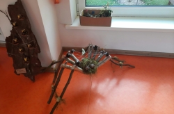 PII "Dzīpariņš" izstāde