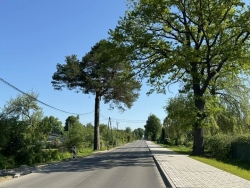 Asfaltēta iela Lielvārdē 05.2024.