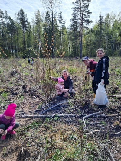 Iedzīvotāji atjauno mežu Rembatē 29.04.2023.