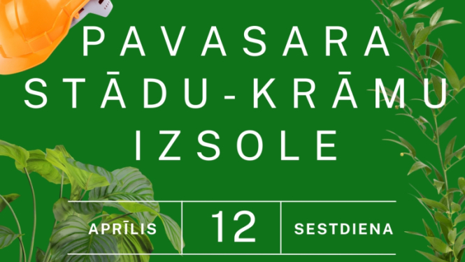 12. aprīlī Plkst. 11.00  Ķeguma Tautas namā STĀDU-KRĀMU IZSOLE